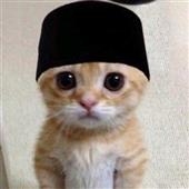 Đề