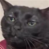 Đ