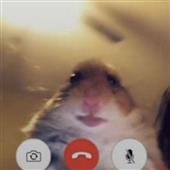 Be