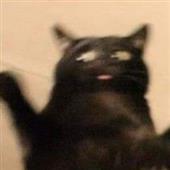 Đ