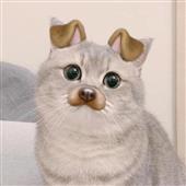 Ng