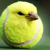 Đ