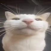 Đ