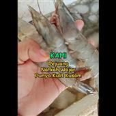 Bữ