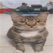 Ba
