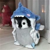 Ro