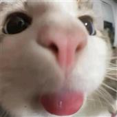 Ng