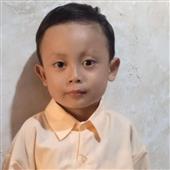 Dự