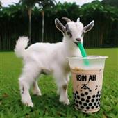 Đ