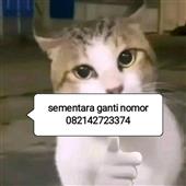 Đ