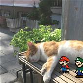 C